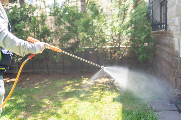 Emergency Pest Control Services in Scottdale, GA